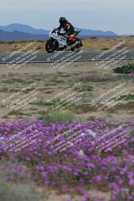 media/Jan-14-2023-SoCal Trackdays (Sat) [[497694156f]]/Turn 14 Exit Bloomig (145pm)/